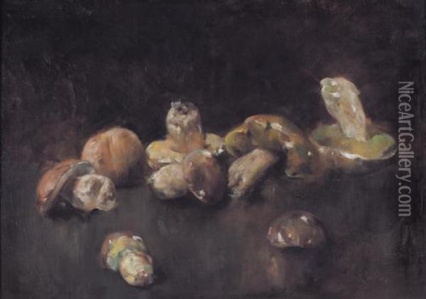Natura Morta Di Funghi Oil Painting - Luigi Serralunga