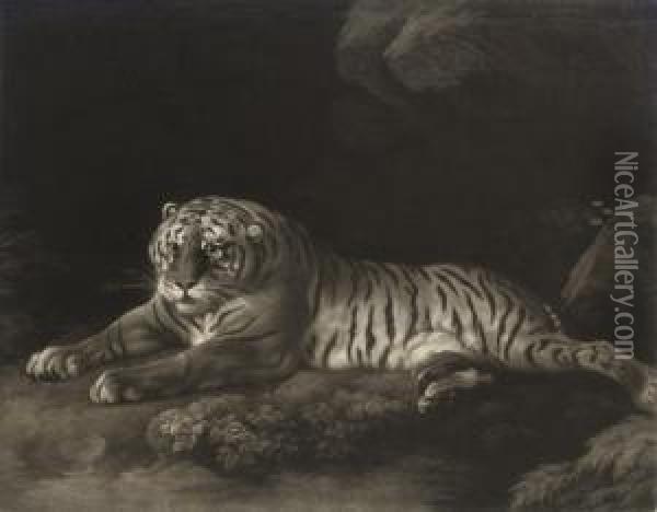 A Tigress Oil Painting - John Murphy