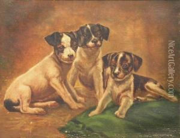 Three Puppies Oil Painting - A. Coleman