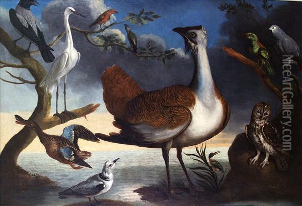 Exotic Birds On A Bank With A Grey Parrot, A Green Woodpecker, Atawny Owl, A Kingfisher, A Great Bustard, A Pair Of Crossbills, Akittiwake Oil Painting - Francis Barlow