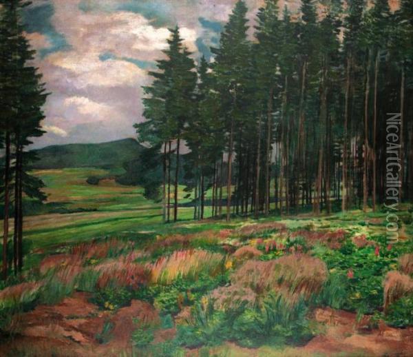 Na Kraji Lesa Paseky Oil Painting - Antonin Hudecek