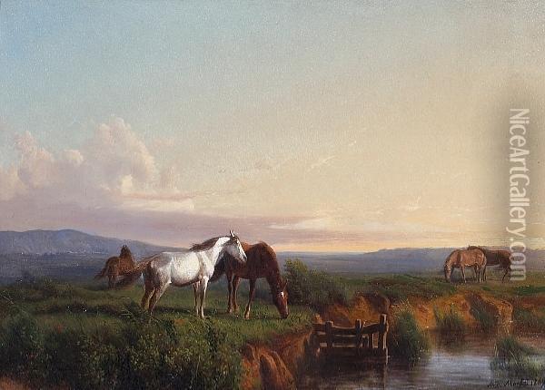 Horses At Pasture In An Extensive Landscape Near Pisa Oil Painting - Andras Markos