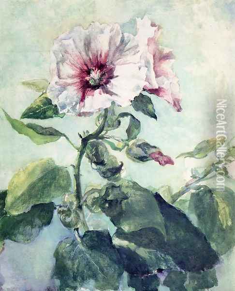 Study Of Pink Hollyhock In Sunlight From Nature Oil Painting - John La Farge