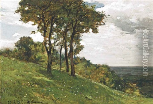 Trees On A Hillside Oil Painting - Lorenzo Delleani