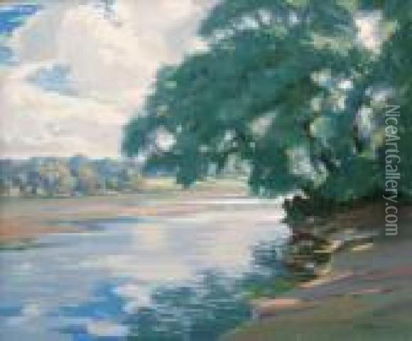 Sunshine And Shade On The River Test Oil Painting - Augustus William Enness