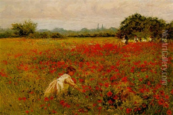The Poppy Field Oil Painting - Alexander M. Rossi