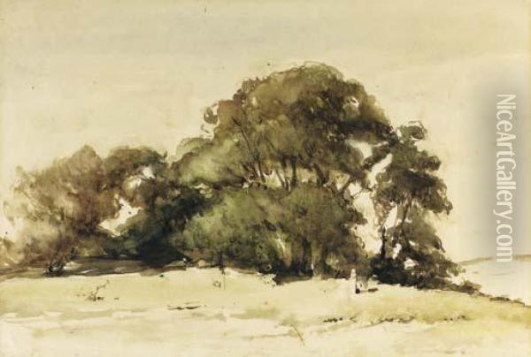 A Group Of Trees In The Dunes Near Wassenaar Oil Painting - Johannes Bosboom