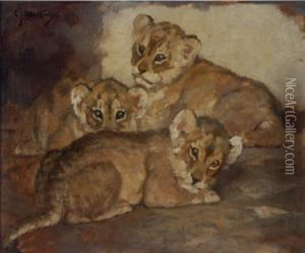 Three Lion Cubs Oil Painting - Cornelis Jan Mension