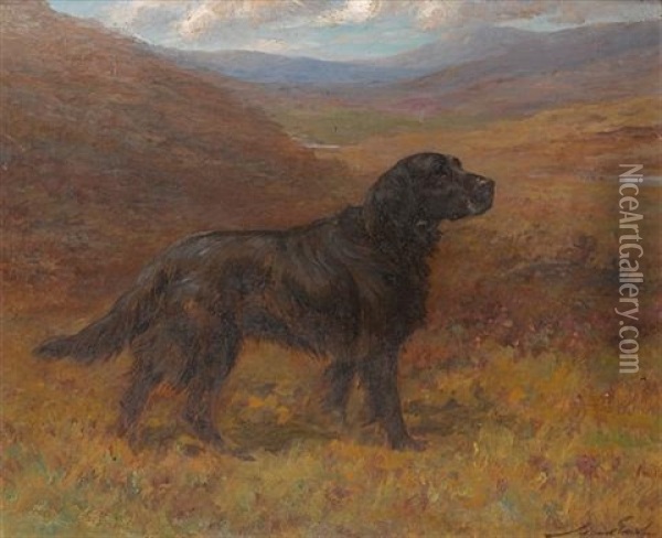 A Flat Coat Retriever In A Moorland Landscape Oil Painting - Maud Earl