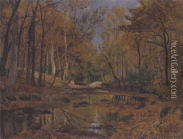 Sonniger Herbstwald Mit Bachlauf Oil Painting - Adolf Gustav Schweitzer