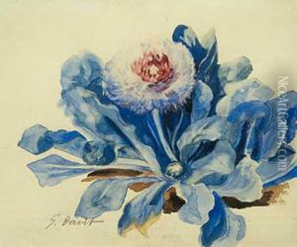 Flores Azules Oil Painting - G. Davis