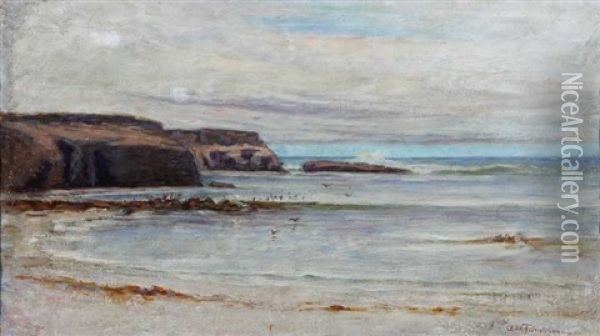 View Of Ocean Beach, San Diego Oil Painting - Ammi Merchant Farnham