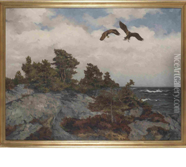 Havsornar Med Byte, 
Motiv Fran Toro Oil Painting - Rolf Mellstrom