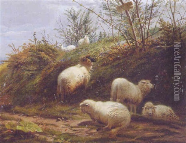 Sheep Grazing Oil Painting - William Sidney Cooper