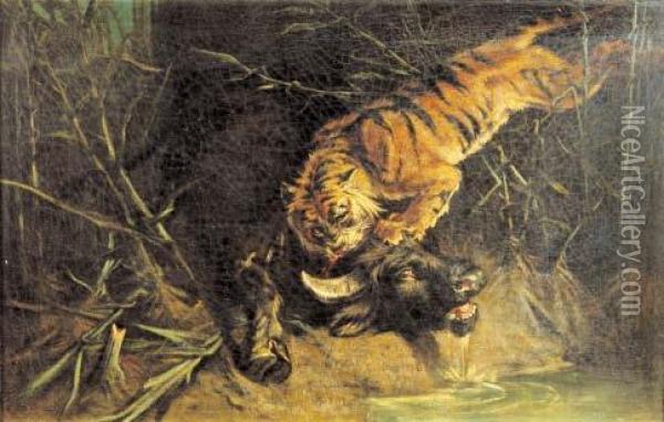 Bufalo Assalito Da Una Tigre Oil Painting - Giuseppe Raggio