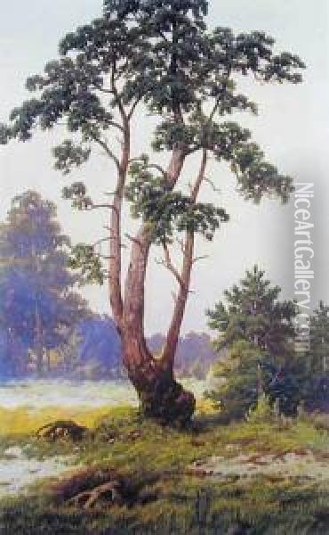 Samotna Sosna, 1911 R. Oil Painting - Jozef Guranowski