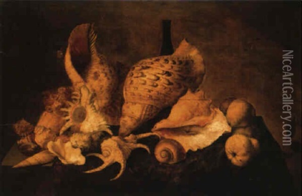 Shells, A Bottle And Quinces On A Draped Table Oil Painting - Balthasar Van Der Ast