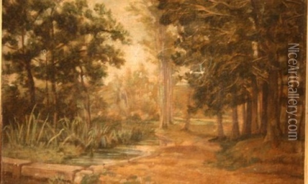 Foret Et Ruisseau Oil Painting - Edmond Louis Marie Wagrez