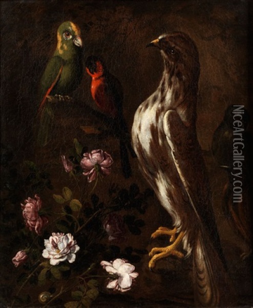 Stilleben Mit Vogeln Und Blumen Oil Painting - Paolo Porpora