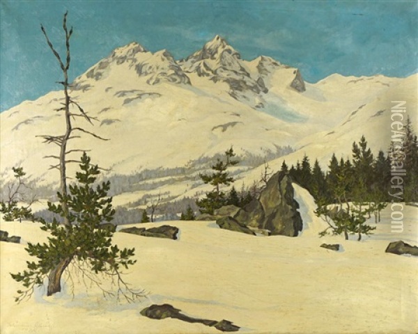 Albana Julier Im Winter. Blick Von Den Hangen Des Rosatsch Aus Oil Painting - Willem Joannes Schuetz