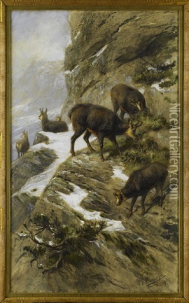 Gemsen Oil Painting - Franz Xaver von Pausinger
