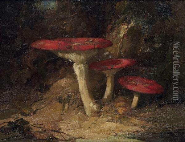 Mushrooms Oil Painting - Van'T Adrianus Johannes Hoff
