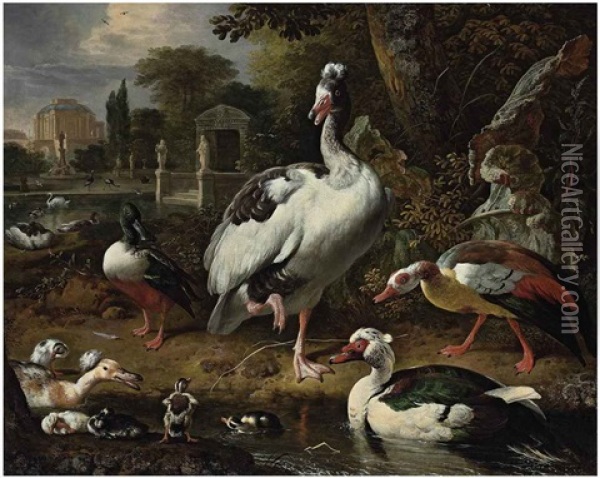 A Grey And White Crested Goose, A Shoveler, A Muscovy Duck, Goslings, Ducklings And Other Fowl In A Park, Elegant Buildings Beyond Oil Painting - Melchior de Hondecoeter
