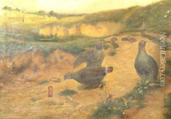 Partridge On A Sandbank Oil Painting - Alfred Oliver