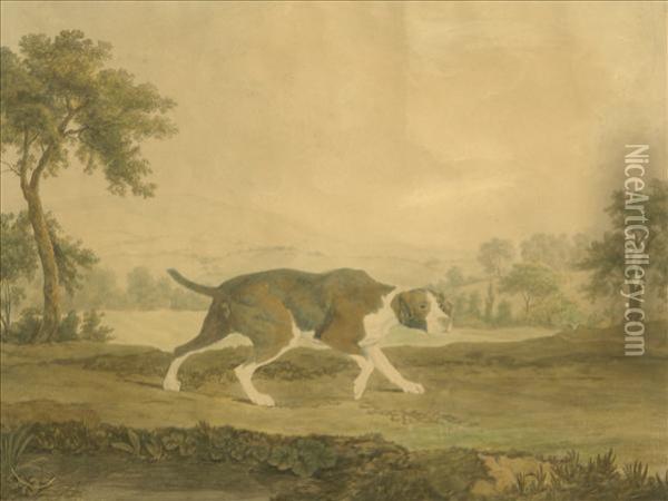 Pointer In Alandscape Oil Painting - George Stubbs