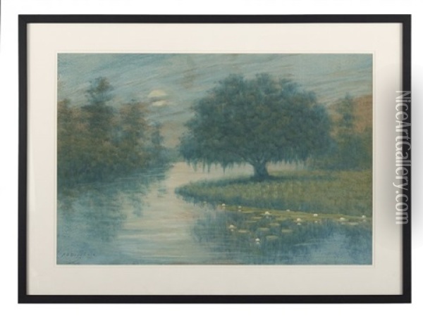 Bayou Landscape With Water Lilies Oil Painting - Alexander John Drysdale
