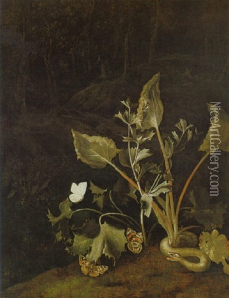Grosblattrige Pflanze Mit Schmetterlingen Im Waldgrund Oil Painting - Otto Marseus van Schrieck