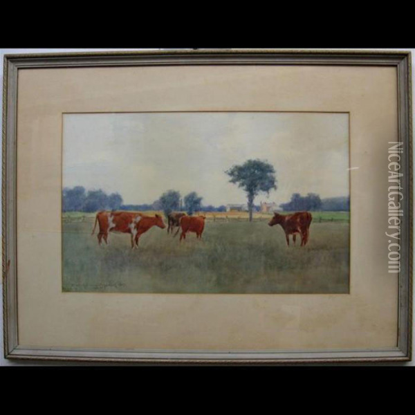 Grazing Cattle Oil Painting - Farquhar Mcgillivr. Knowles