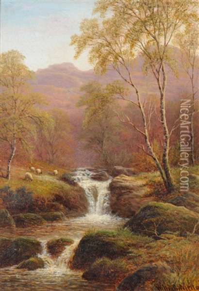 Sheep Grazing Beside A Waterfall Oil Painting - William Mellor