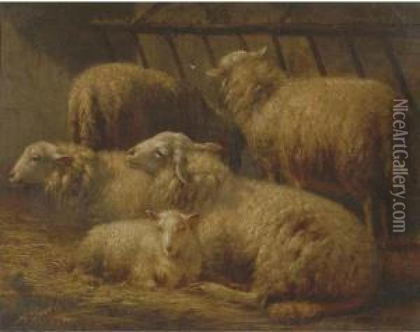Sheep In A Stable Oil Painting - Albert Smets