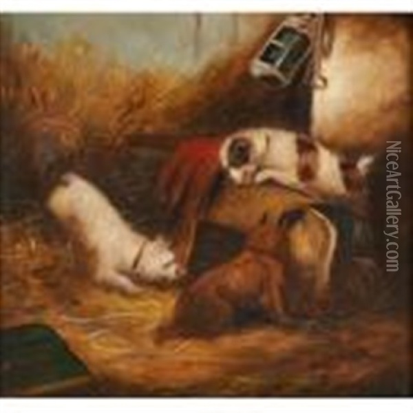 Three Terriers Hunting Oil Painting - George Armfield