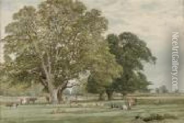 A Summer Stroll Through Parkland Oil Painting - Edward R.W.S Duncan