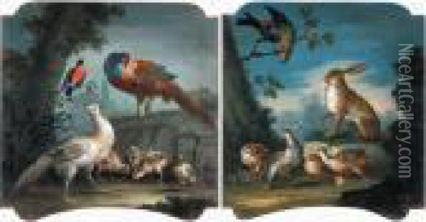 Fagiani In Un Paesaggio; Coniglio, Fagiani E Falco In Un Paesaggio Oil Painting - Michele Antonio Rapous