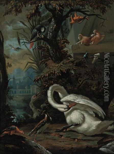 Swans, Doves, Macaws, An African Grey Parrot And Other Birds In A Landscape Oil Painting - Dirck Wyntrack