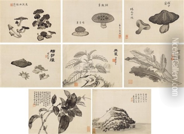 Album Of Ink Plants (album W/8 Works) Oil Painting -  Cai Shou
