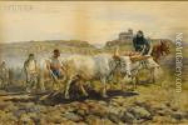 Oxen Team In The Countryside Oil Painting - Enrico Coleman