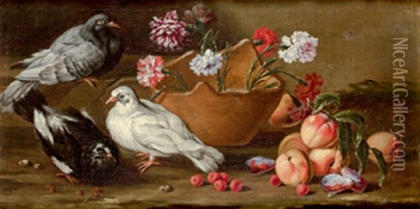Stillleben Mit Zwei Tauben, Natura Morta Con Due Piccioni Oil Painting - Andrea Belvedere