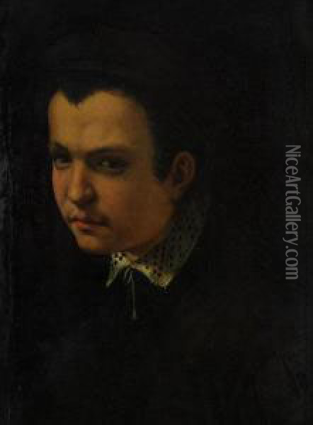 Head Of A Boy 
Wearing A Cap And Lace Collar Oil Painting - Rancesco De' Rossi (see Salviati, Cecchino Del)
