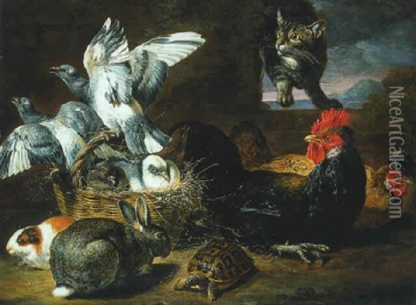 A Cat Stalking Pigeons In A Basket With Hens, A Rabbit, A Guinea Pig And A Tortoise Oil Painting - David de Coninck