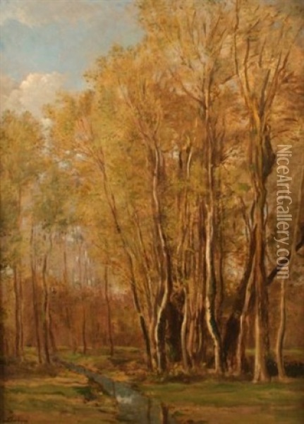 Ruisseau A Valmondois Oil Painting - Charles Francois Daubigny