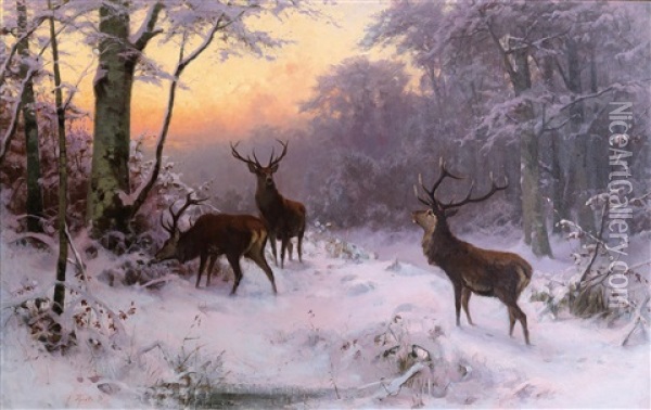Deer In A Winter Woodland Oil Painting - Arthur (Julius) Thiele