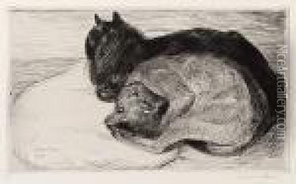 Two Sleeping Cats Oil Painting - Theophile Alexandre Steinlen