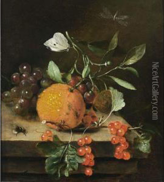 A Still Life Of An Orange, 
Grapes And Red Berries, Together With A White Butterfly, A Dragonfly And
 A Bee, All On A Wooden Ledge Oil Painting - Marten Nellius