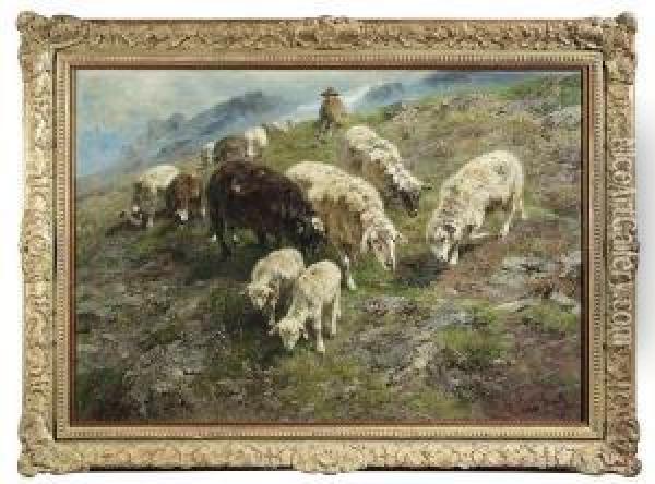 Flock Of Sheep Inmountainous Landscape Oil Painting - Anton Braith