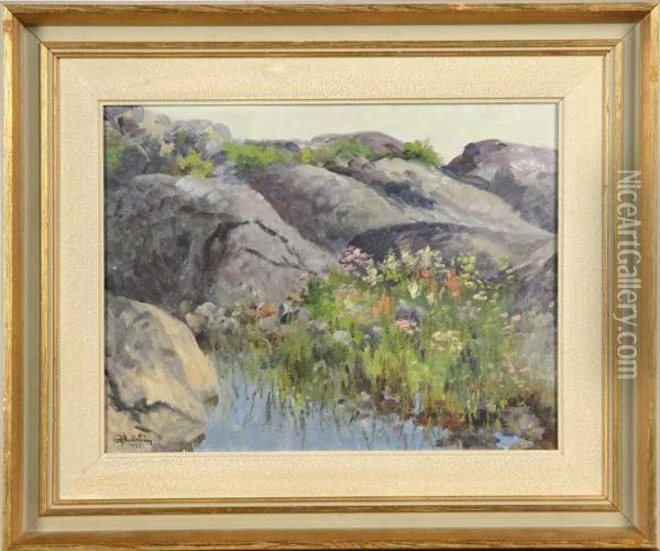 Blommor Bland Klippor Oil Painting - Rolf Mellstrom