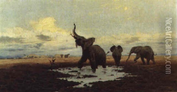 Elephants At A Watering Hole Oil Painting - Wilhelm Friedrich Kuhnert